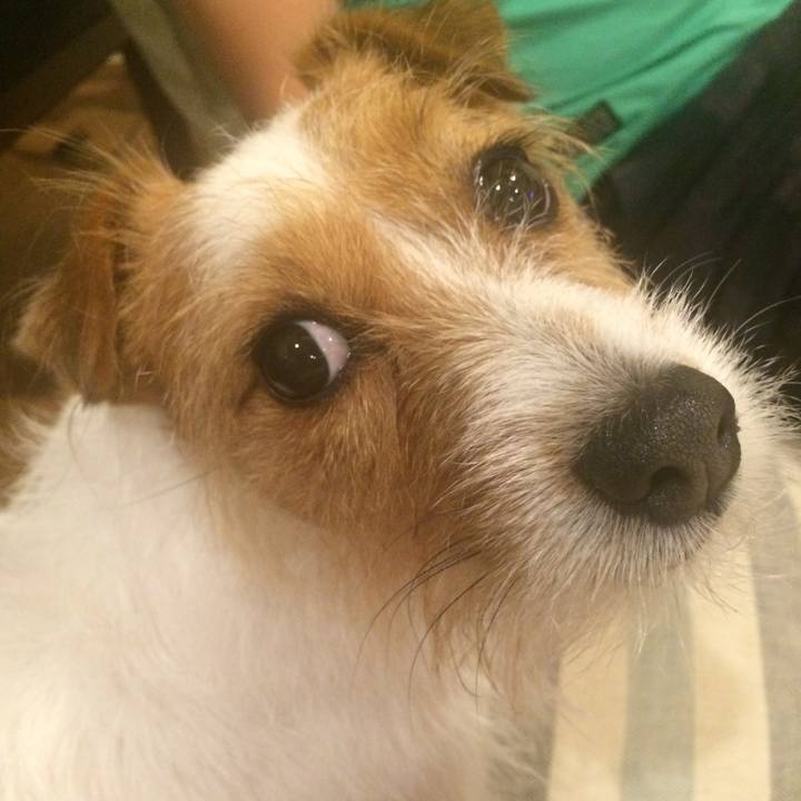 37d49883 d9e1 479d a3a3 7da942cd3ca0