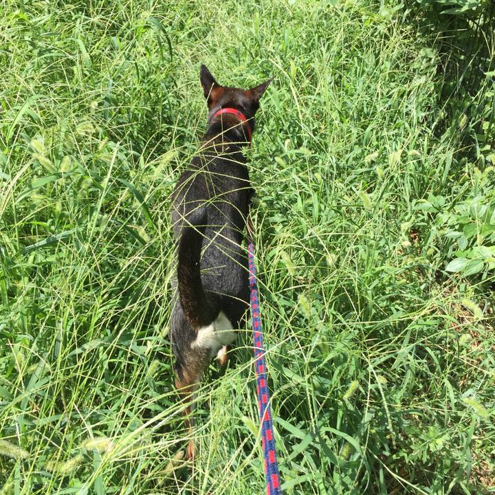 37d4b32d 9304 4c3a 9a96 c1f8b0cc35c1