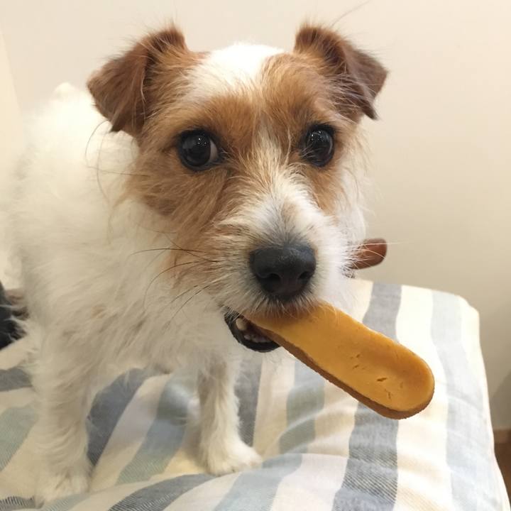 37d4c7bc 61a4 44e8 85c1 8e2b84f4b6dc