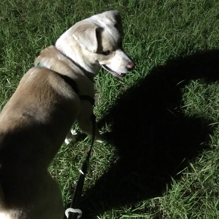 37d53b0a 0e0d 41db 8bc9 708b3a894567