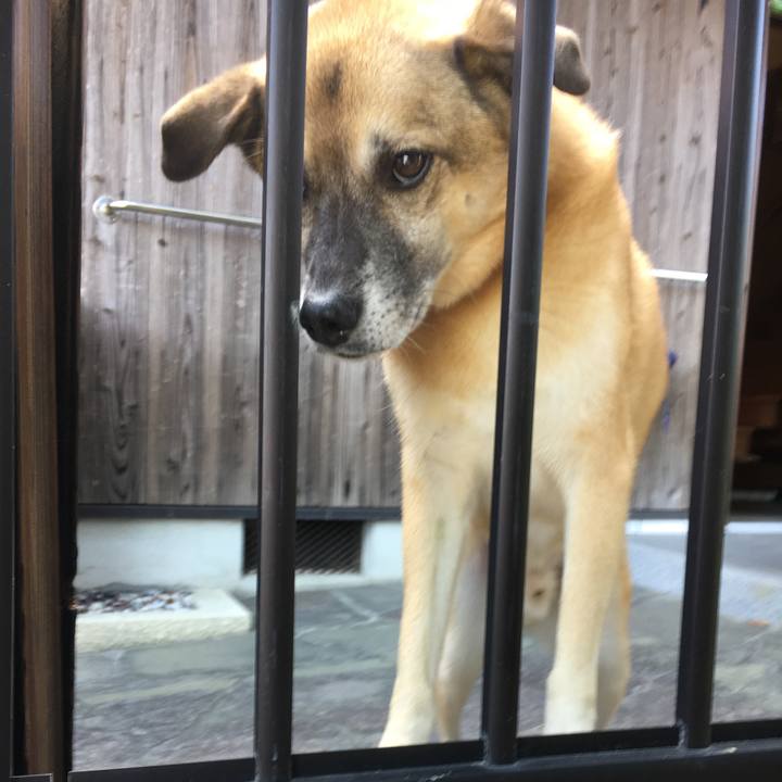 37d5faa4 ff6e 4be7 a371 f2ae5a151389