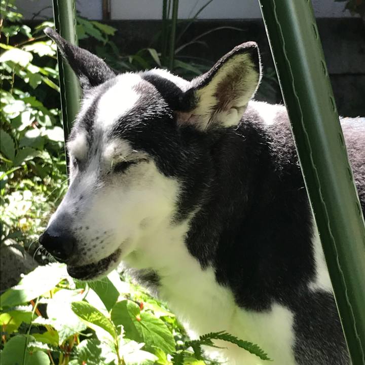 37d614f5 6de3 456e ba5a 45afd23aab65