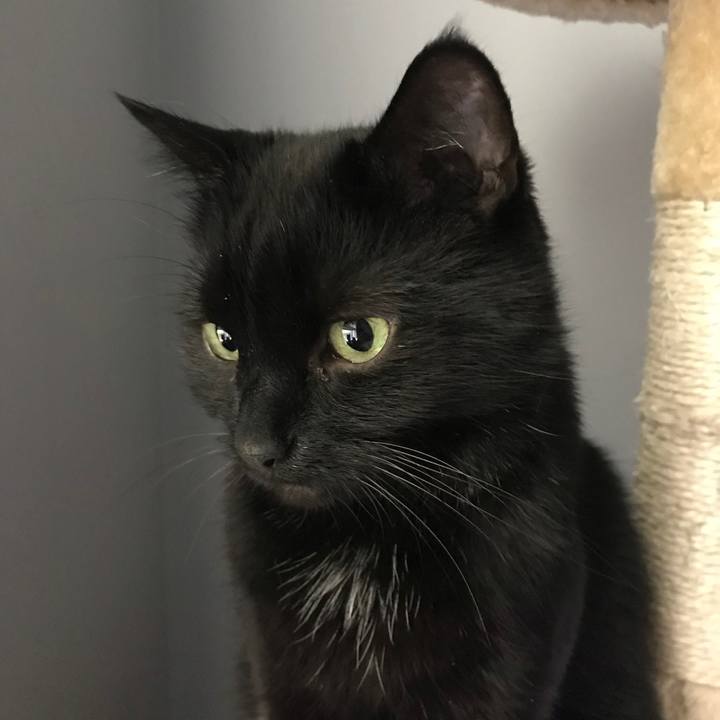 37d642a4 3f60 497b b8cf b7f1a0aadf9f