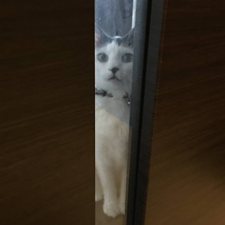 37d658f7 d21d 4bda aaa1 ca5ee3d75470