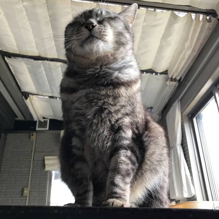 37d6a2a2 4fe4 4126 b6fc 7667a6a470ae