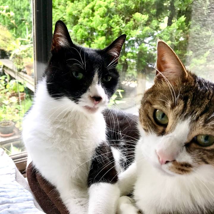 37d6c303 a337 4532 8ebc d9a0d8efc60c