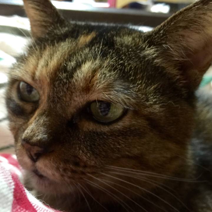 37d703a1 b802 48af 8777 db32eda45226