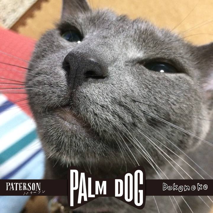 37d71288 a786 4471 990f 3b10f18c3967