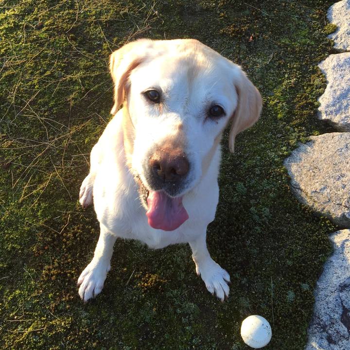 37d713f1 2673 424f a630 4d0dfef7587d