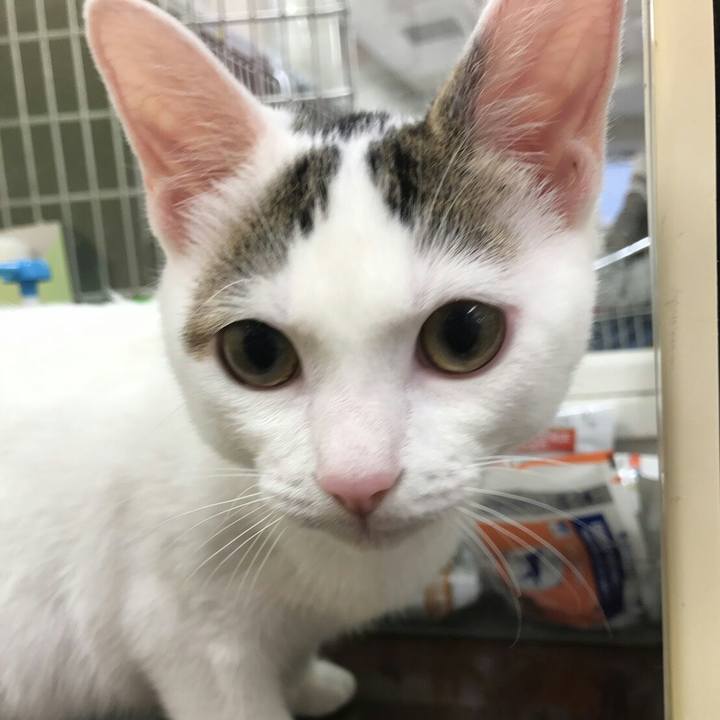 37d7c520 5125 4077 a7c6 867819483734