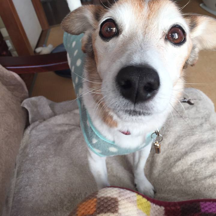 37d821b3 a2f1 4408 9956 cd7f6933d414