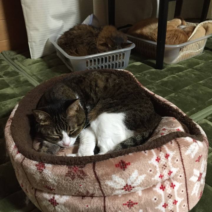 37d82c89 72c2 486f b6fb 53eacd0953c2