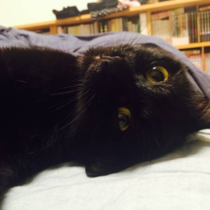 37d89600 2b1d 4de2 b215 db3e158682de