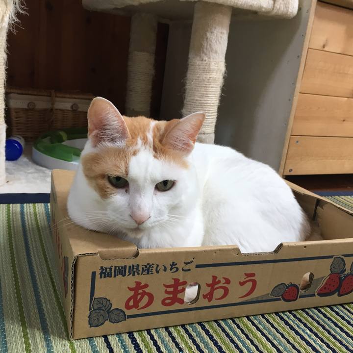 37d8a11d bcf2 4339 bde0 558c484022ab