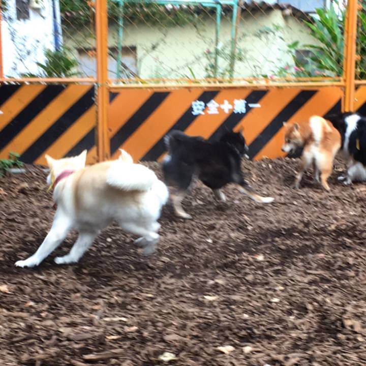 37d8c191 bdc0 478c 9a92 2295f6883c55