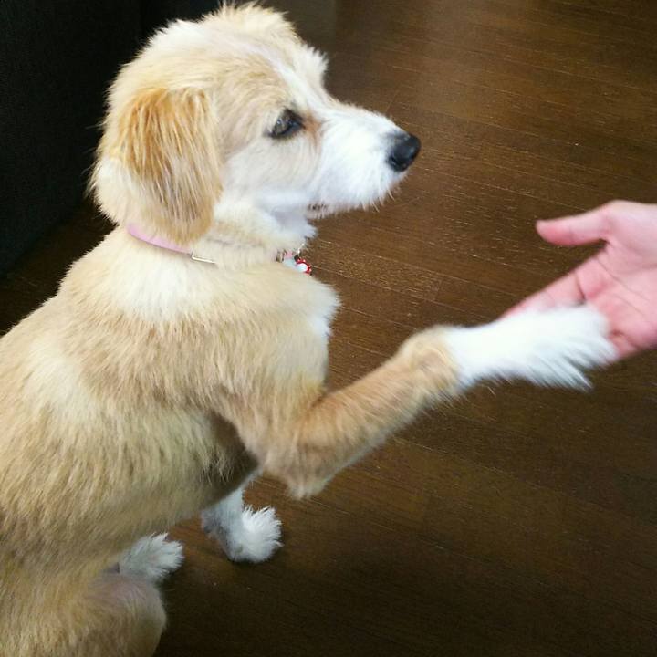 37d8dfc0 9032 41c6 96f8 213b1b7d018f