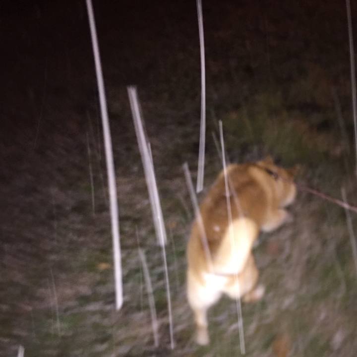 37d93a66 61d9 4176 b3e6 2cb6b2adc818