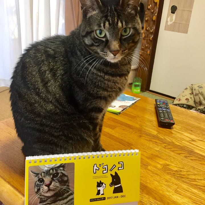 37d9a929 9779 44bc 8fb4 46b5682a506e