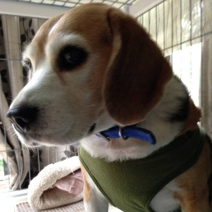 37d9bd19 8c94 470f 8e34 071af9846a9c