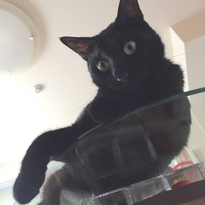 37da1483 a347 481e 8a4f fdf53d02bb25