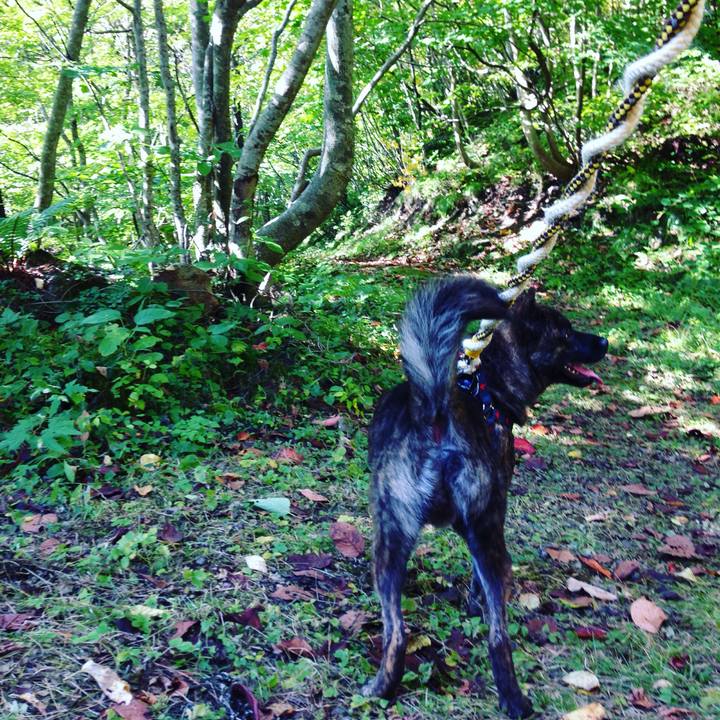 37da41c8 e379 44b0 ad21 4f920f2c7935