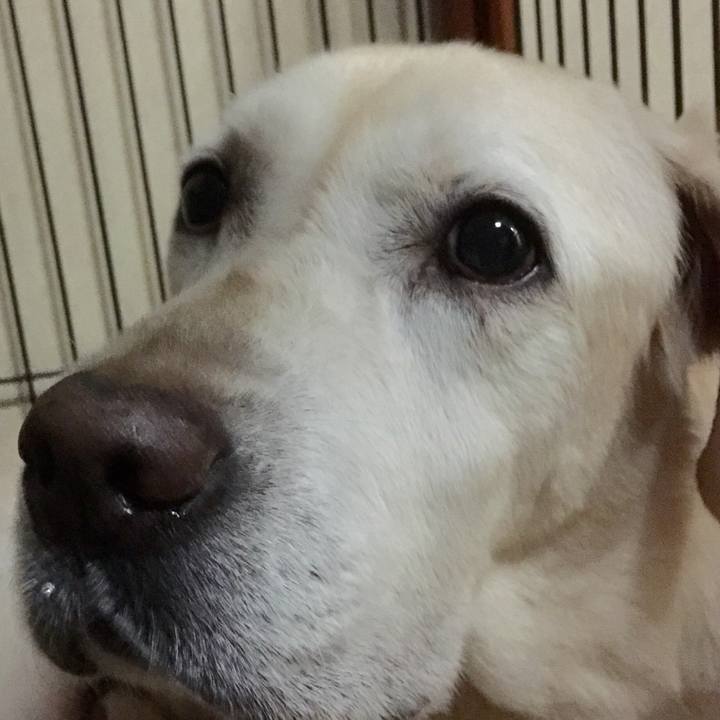 37db5add c3f8 4997 9642 402c819f7f5b