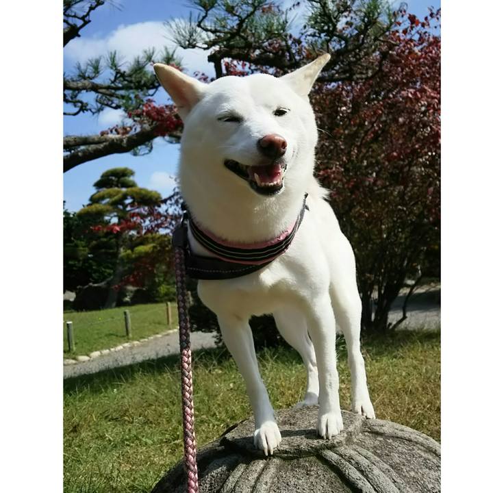 37db6e89 7cf8 4f9e 985b 6b49afd0f841