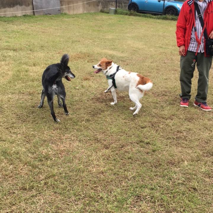 37db81b3 a96b 4712 ada6 6b2020273896