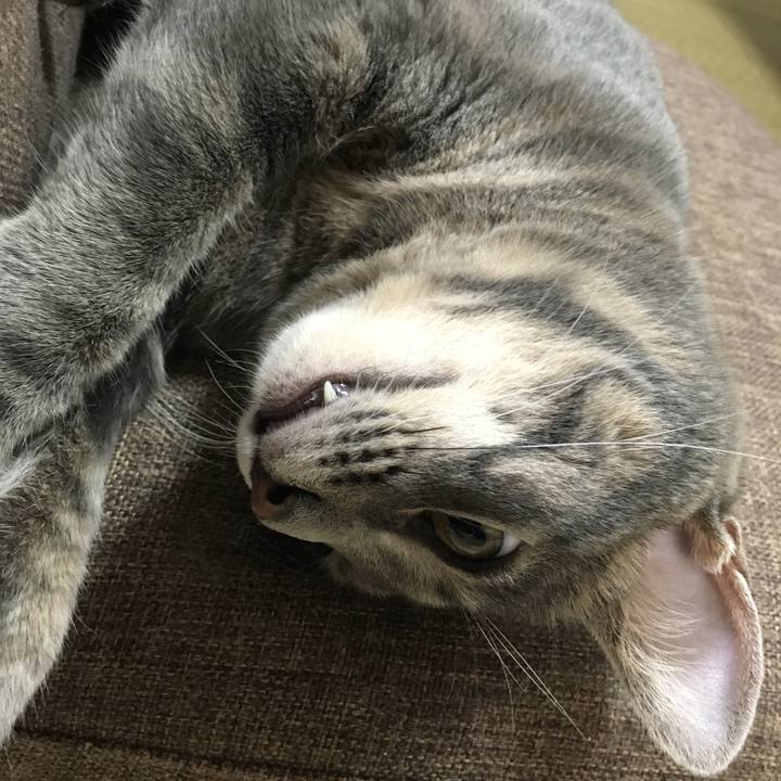 37dc39b6 ce00 4df6 9a0b 0ee84351d18b