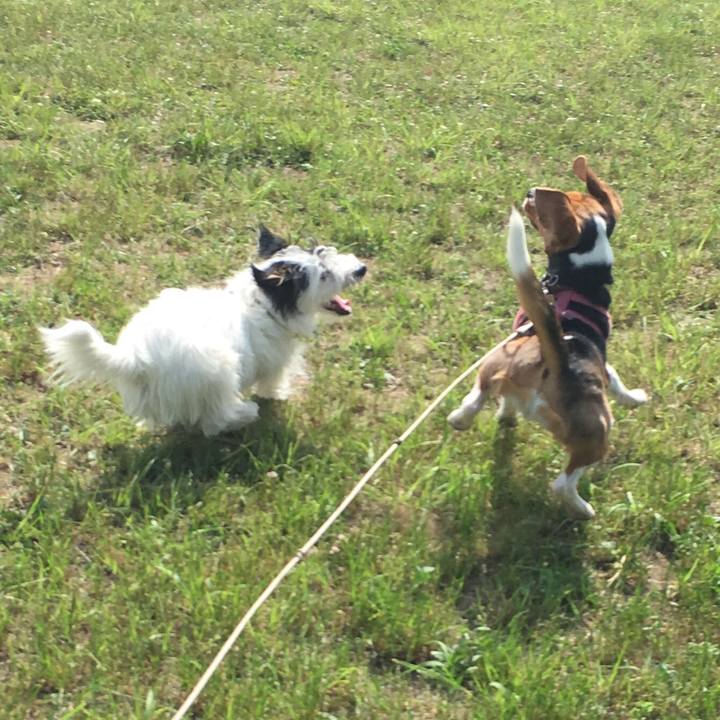 37dc457c 4618 4354 b08e 52a462d23775