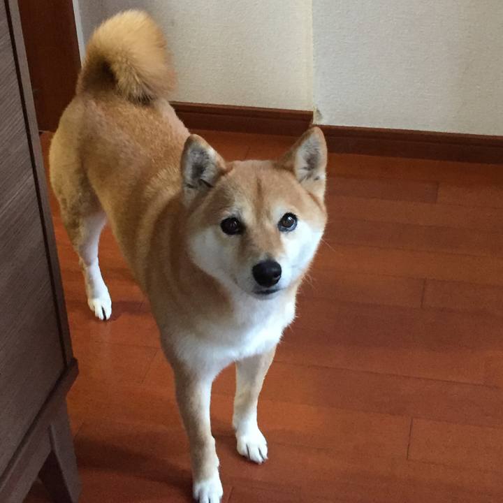 37dcb6c8 5836 4a07 8500 103676054e11