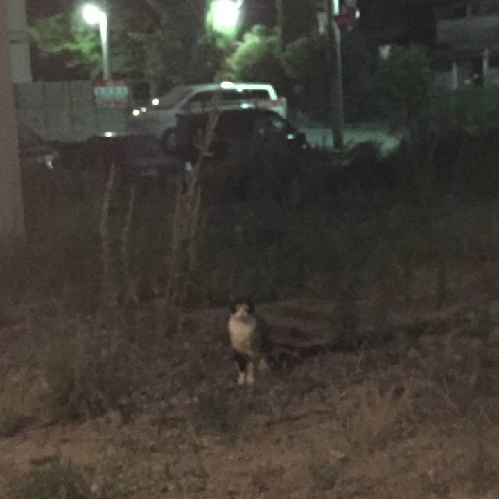 37dd7fa6 e9fe 47be 94a3 b111aebfcdf7