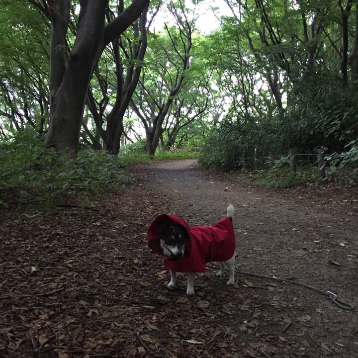 37dde173 1b4d 4483 a132 3295278c722d