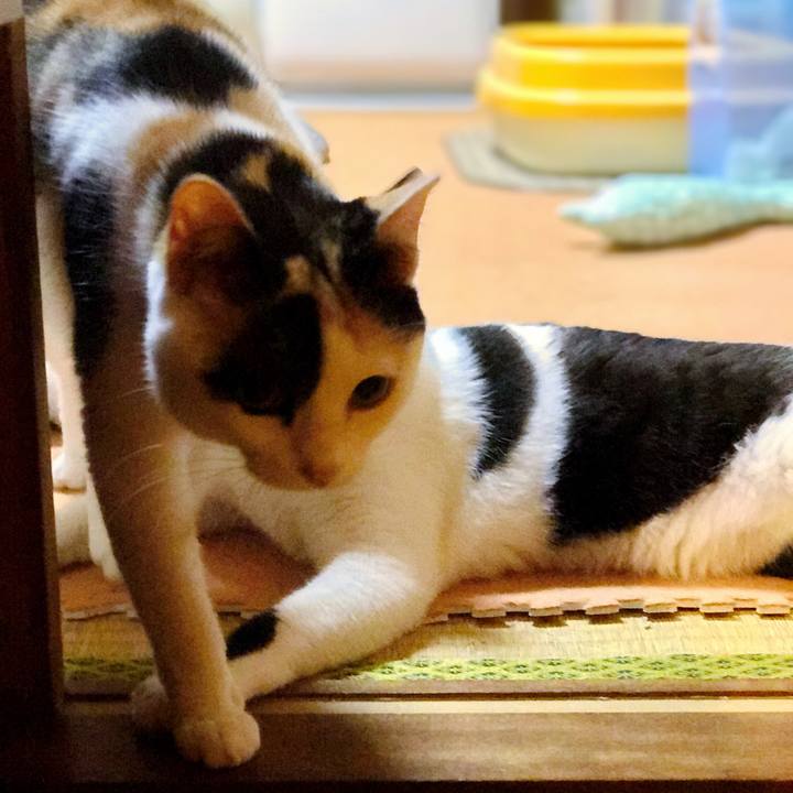 37dea161 e2ab 4a4c 8ab6 536b9056727f