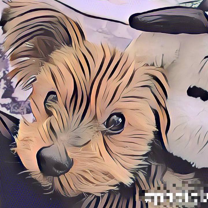 37df3fcd f17c 47e8 9326 a4f128ed3d28