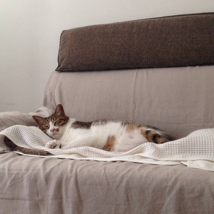 37dfa3c8 5636 4335 925a f471d8c1dc2f