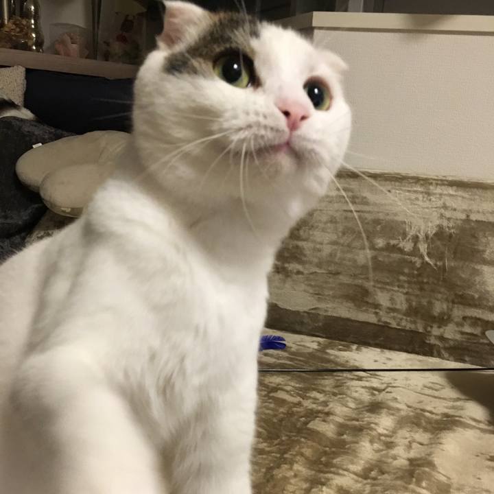 37e01a66 3809 4fc0 8490 59a115172c06