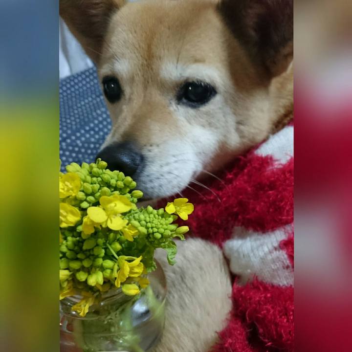 37e04276 971e 4331 b920 8bdc0bb011eb