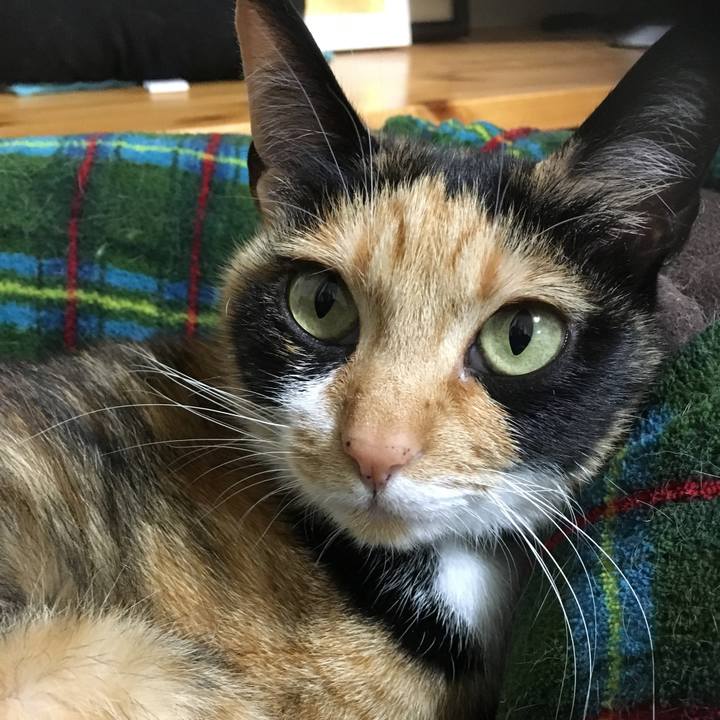 37e0d2cb 30da 4244 a776 8f2f37663156