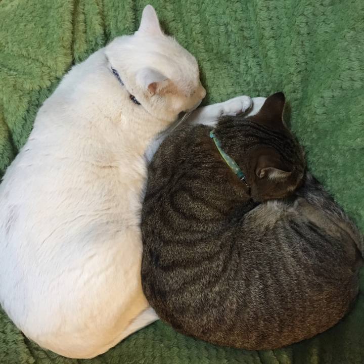 37e1092e 3f1c 4dcb 956d e47974792071