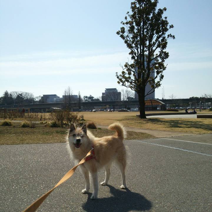 37e11626 a200 4ad6 8f0b 8e38748ca58e