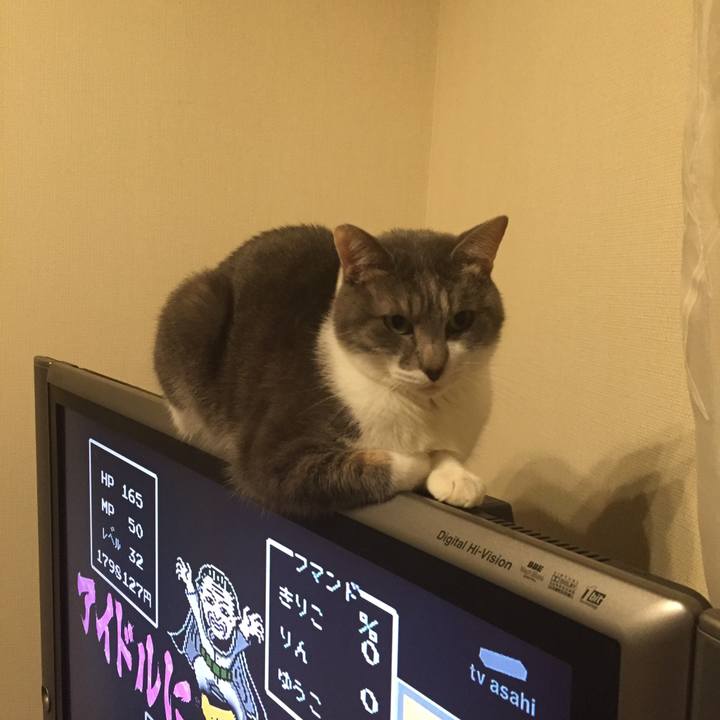 37e21b8b b964 4ad8 b486 49fefa834db4