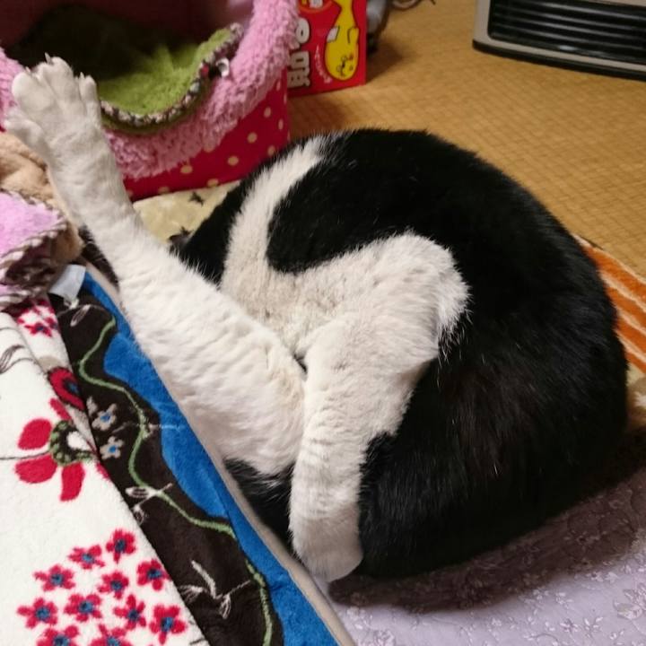 37e267fa db8d 4d49 86a0 6797a9af002b