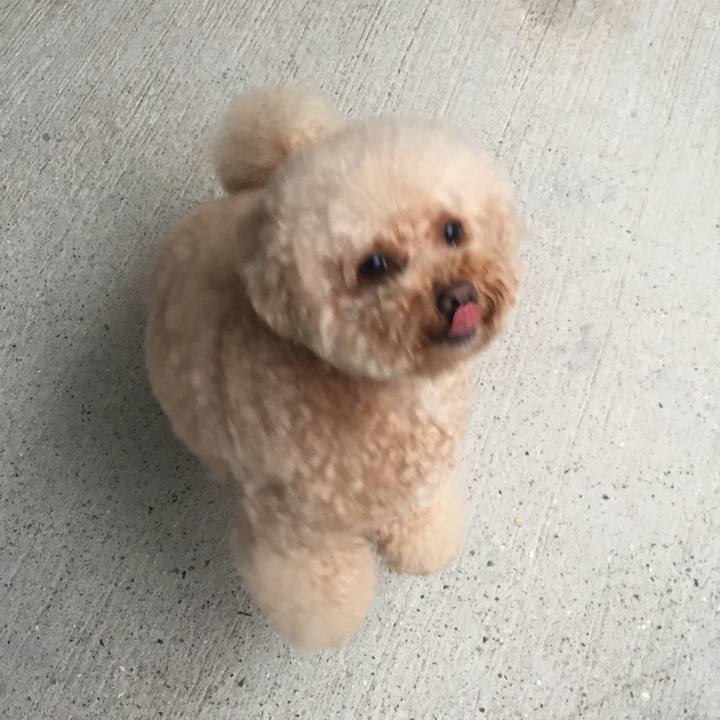 37e3275c 9855 4798 bb9f a3c7713bfbc3