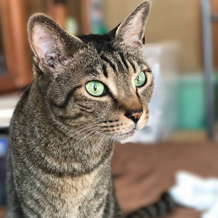 37e340e8 2729 43c5 a21a 42e5dfe18347