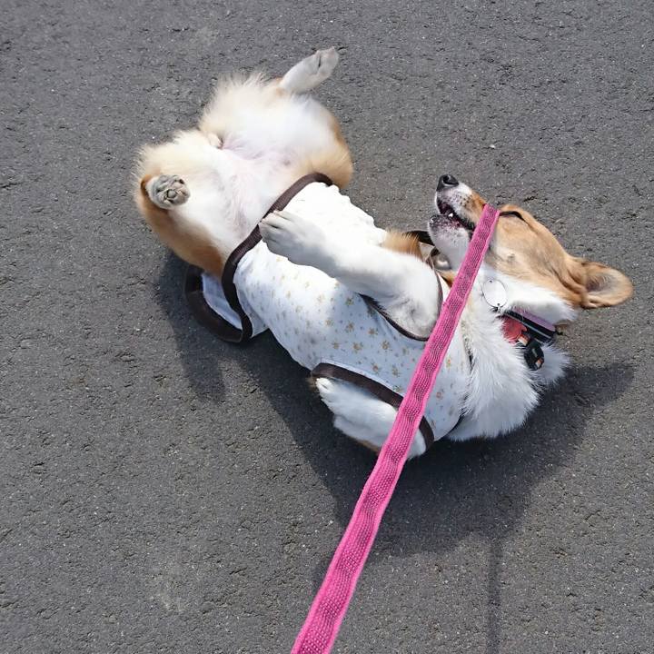 37e37968 141f 4d3e 8211 849128353bd1