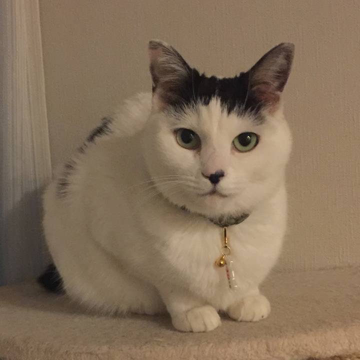 37e38703 710f 4fb4 85ea 2be62273a366