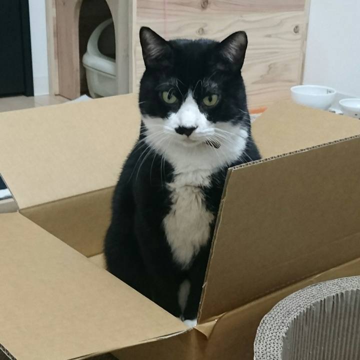 37e3c5d0 f046 4678 b2d5 c42cc3293960