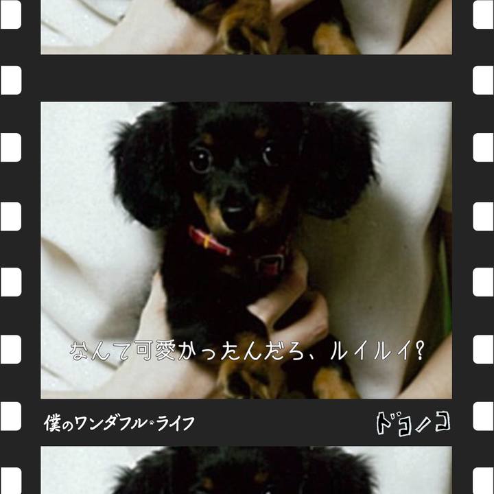 37e3dd67 01d0 4a8f 9017 568ae5075073