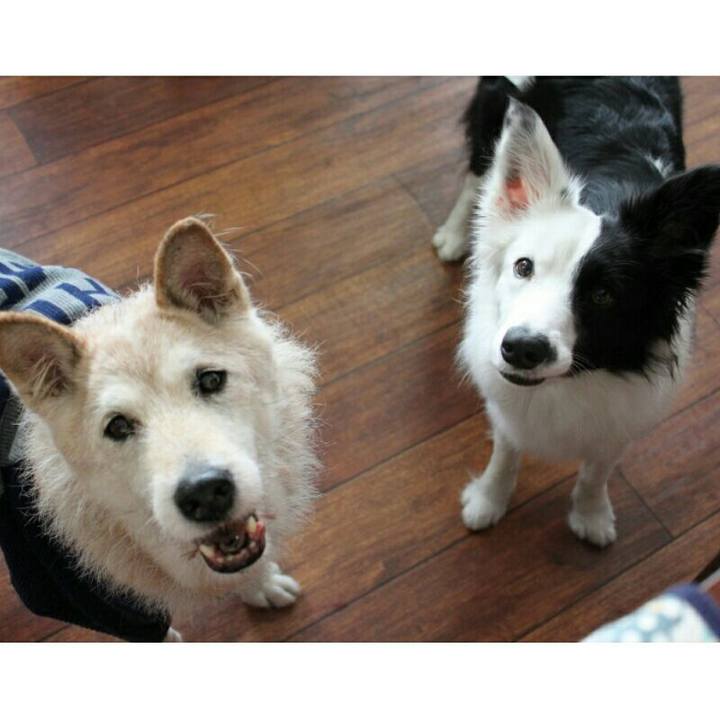 37e4107b 62f2 4a3c bf72 48612909d616